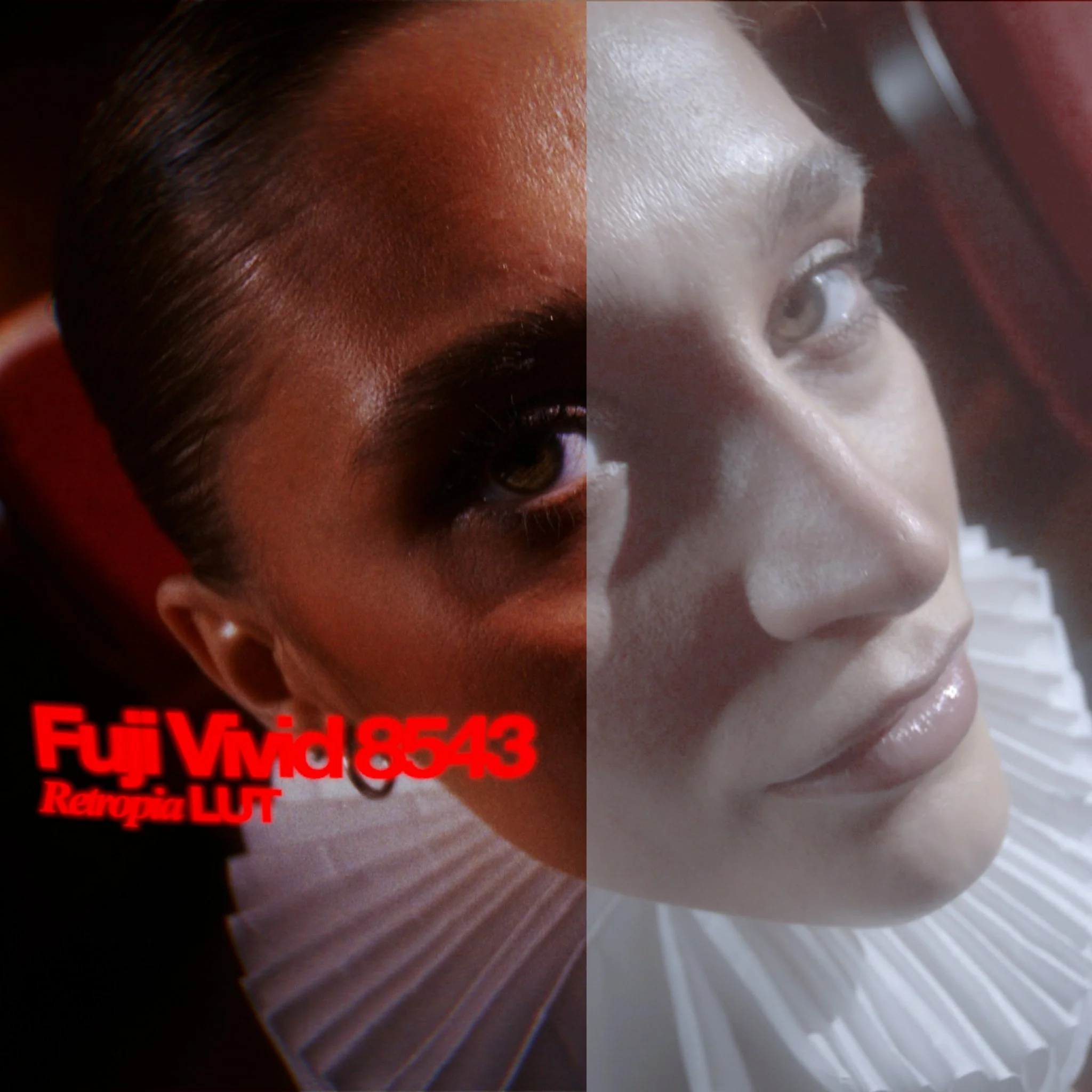 Retropia® Film Emulation LUT Pack (12 Video LUTS) - Image 12