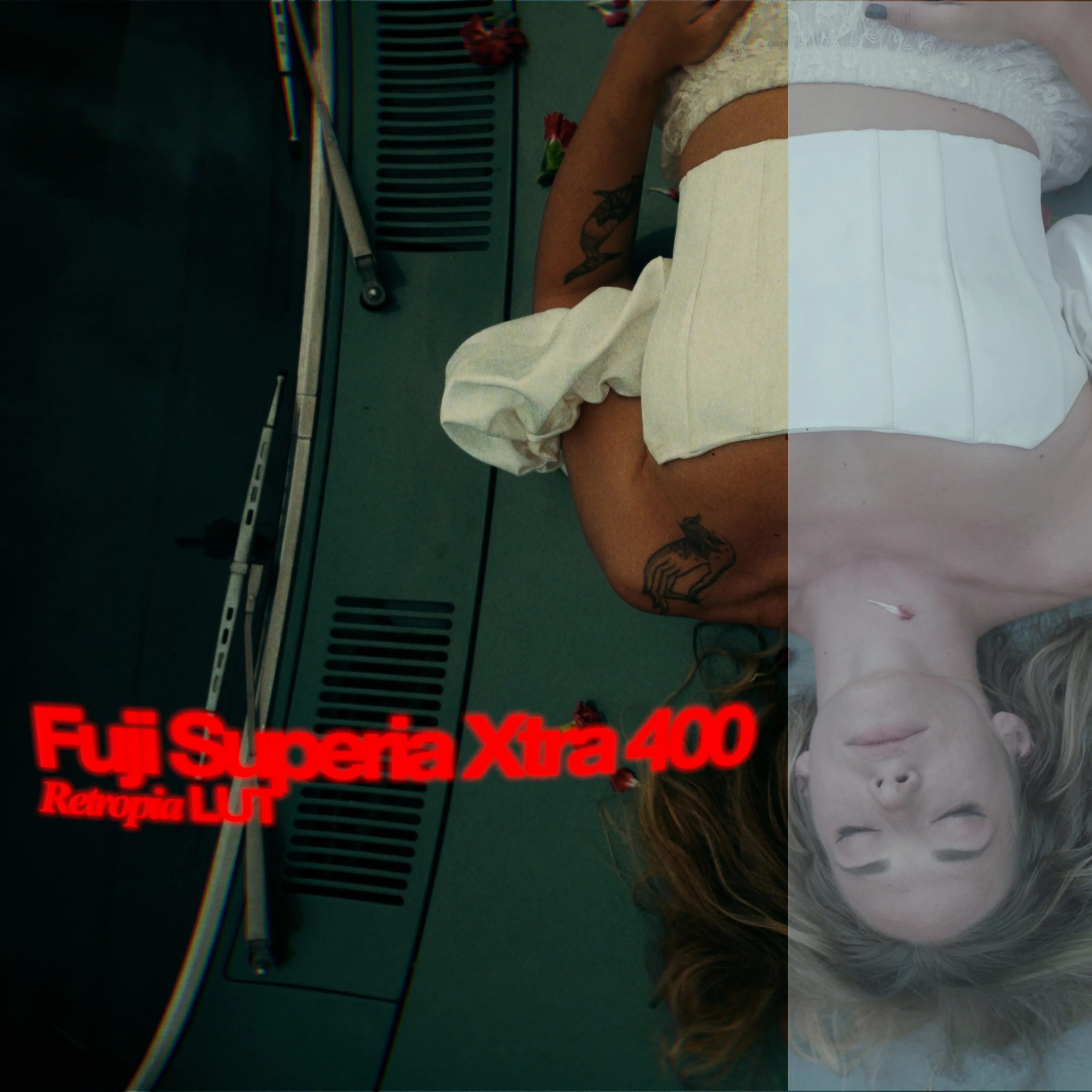 Retropia® Film Emulation LUT Pack (12 Video LUTS) - Image 3